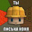 Значок сервера MyCraft