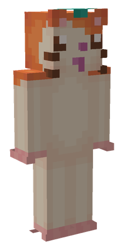 Скин chelszy в 3D