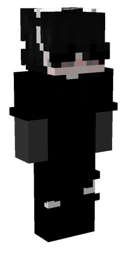 Скин Sakyto в 3D