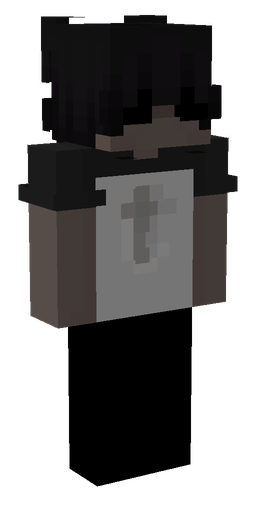 Скин Netis в 3D